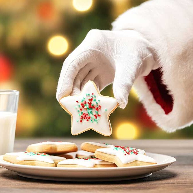 SantaChristmasCookie